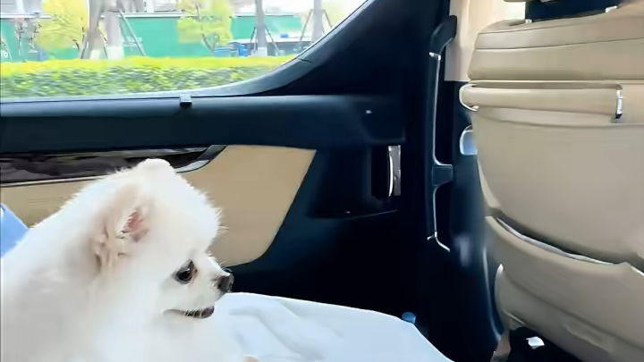 ความจนจำกัดจินตนาการของฉัน | ซีรีส์ ‘คนไม่เท่าหมาจริงๆ’