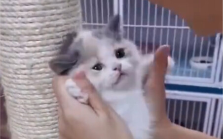 If you don't work hard, you'll become a woman's plaything.jpg