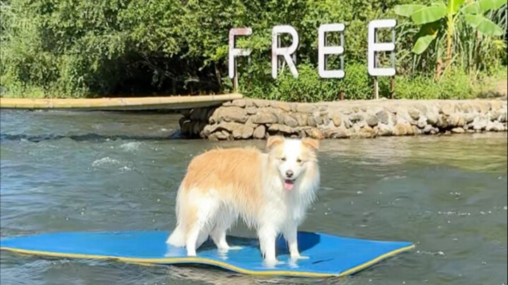 Arung Jeram Karpet Ajaib Chen Bella