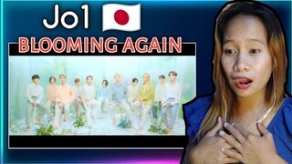 JO1 - Blooming Again (Studio Version) Reaction
