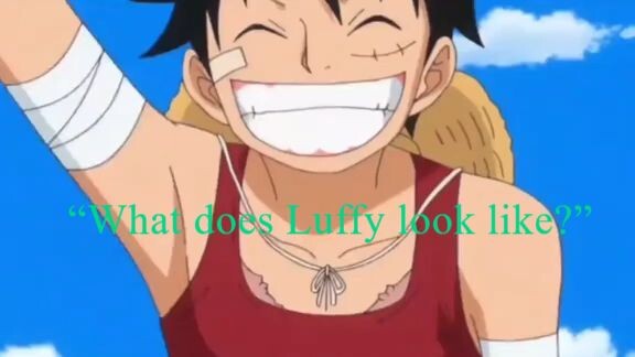 Fujitora wants to know what Luffy looks like…