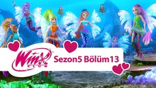 Winx Club - Sezon 5 Bölüm 13 - Sirenix