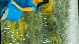 kova kara kiliye ennai kothi vitu pohakthey 👑😻💞tamil song WhatsApp states👑🦋