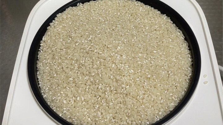 أول مرة أطبخ الرز يغلي