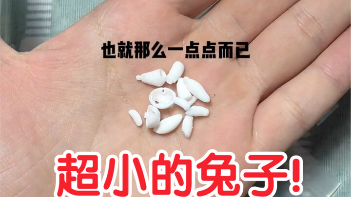 [BJD] [BJD Doll] Is this… a BJD???