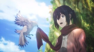 الجو حار. أروه للصف بأكمله. / إذا كانت موسيقى الخلفية عندما تكون ميكاسا تحت الشجرة هي "اسم الحب"