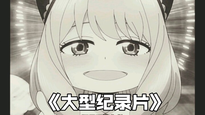 大型纪录片《瓜神表情传奇》