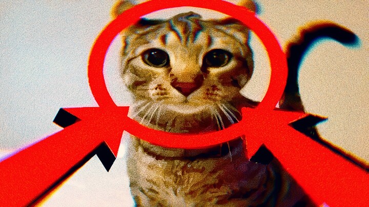 【Meme】Ai xem xong mà cười thì đỉnh đầu sẽ nhọn lên #154