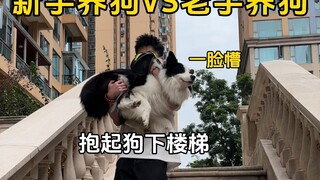 ความแตกต่างระหว่างเจ้าของสุนัขมือใหม่กับเจ้าของสุนัขที่มีประสบการณ์