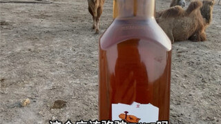 أشربه كل يوم ولا يزعجني.