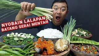 MAKAN LALAPAN PETAI MENTAH IKAN ASIN SAMBEL TERASI IKAN TONGKOL BALADO PENCOK KACANG PANJANG