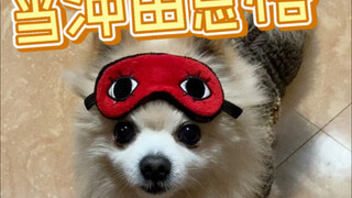 冲田搜狗：铃村健一役(¬_¬)
