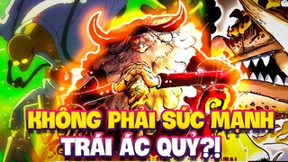 SỨC MẠNH CÁC LÃO TINH KHÔNG ĐẾN TỪ TRÁI ÁC QUỶ?! | ONE PIECE 1111+