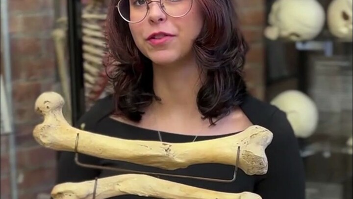 Apa saja yang ada di Museum Tulang? Wanita muda itu akan mengajakmu untuk memperluas wawasanmu. Ini 