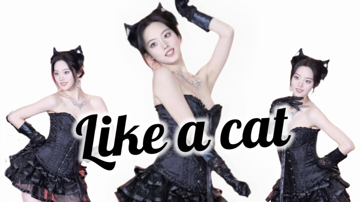 DNA của ai đang xao động vậy! AOA catwalk nhẹ nhàng 🐱 Khơi gợi chút mê hoặc thôi nhé!