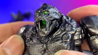 [Assembly] Bruco - Transformers EX Set