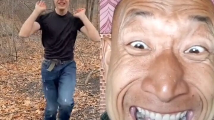 当怪鸽看进口怪鸽时的反应