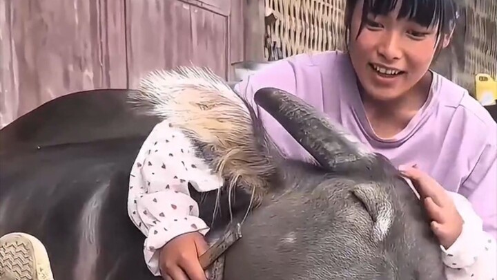 🐄🥹 见面狂奔