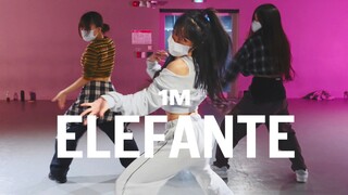 【1M】Biên đạo múa "ELEFANTE" của Minny Park