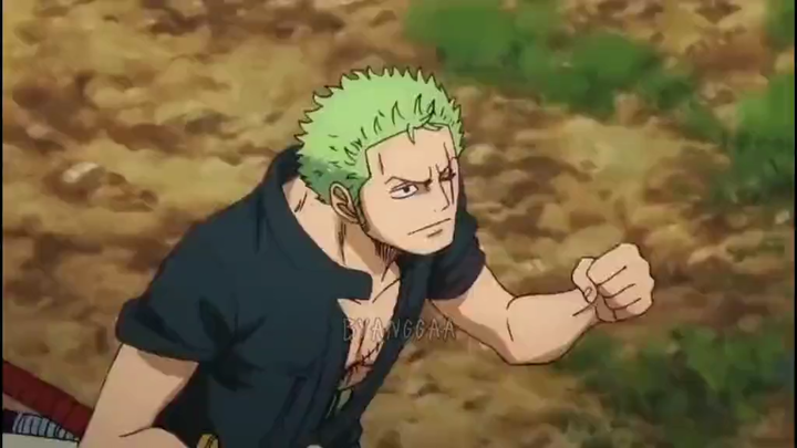 ZORO NYASAR MOMENT