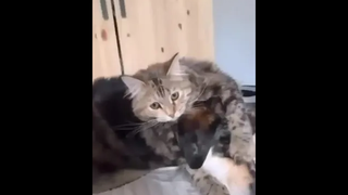 ไม่ต้องสนใจกัน