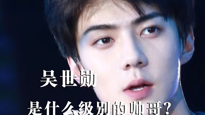 ما مستوى جمال وو شي شون؟