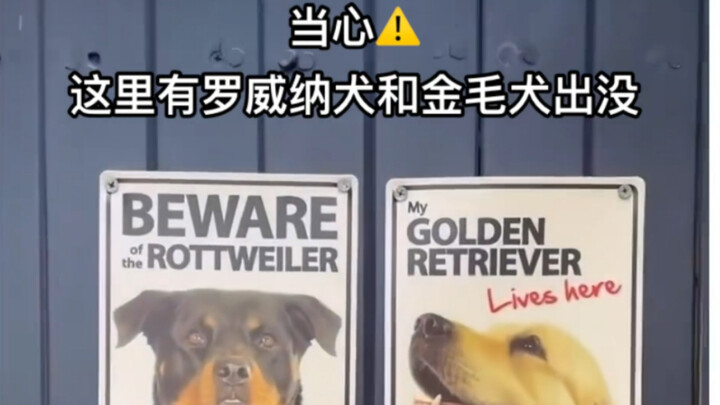 โปรดระวัง มีสุนัขพันธุ์ใหญ่เดินวนเวียนอยู่บริเวณนี้!