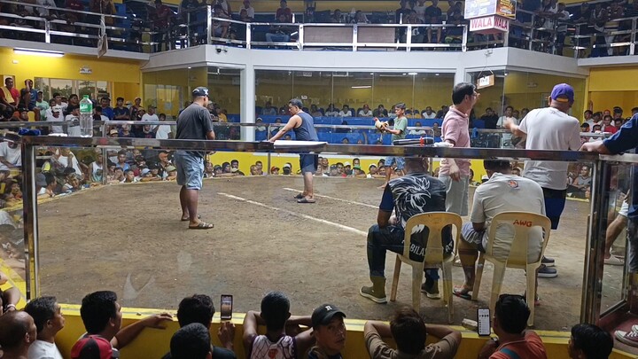 dec 24 3 hits 3rd fight for the champion