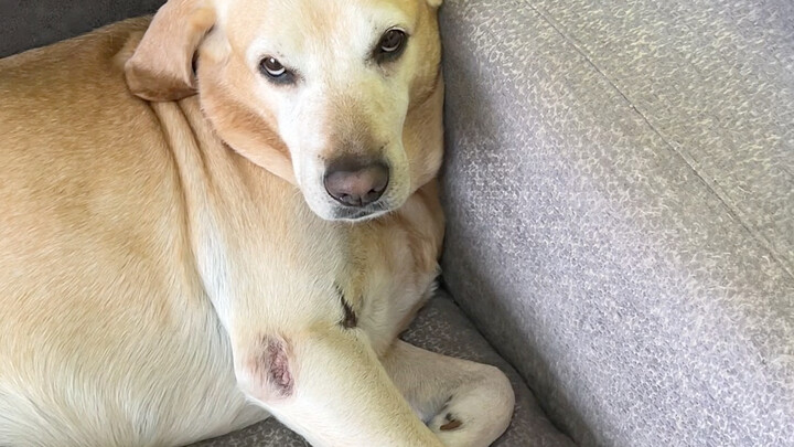 As soon as I’m not needed, I start acting all aloof.