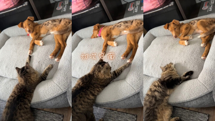 ยินดีที่ได้พบกันครั้งแรก🥺💗