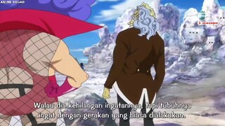 sabo ngak ada ahklak langsung lawan dragon 😂😂