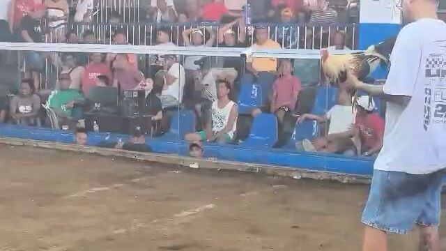 3x win kana kelso x joe goode champion again!