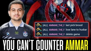 Ammar HUSKAR 100% Destroyed BROODMOTHER Last Picker in Mid Lane