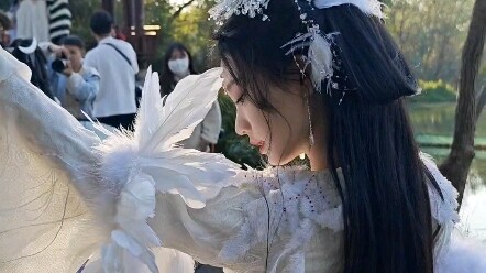 Cute little white chick.