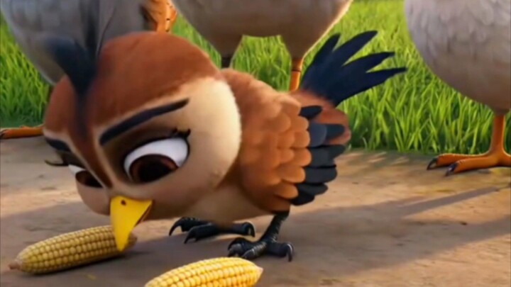 Pio si Burung yang ingin Jadi Ayam