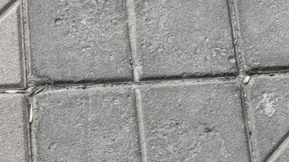 Poland: What the f*** is this B tile?