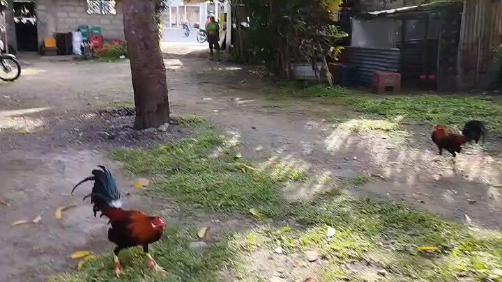 5k sweaters Full Brothers      Domz512Line