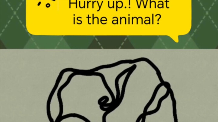 Hurry up! What is the animal?