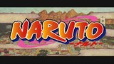 Naruto Episode 208