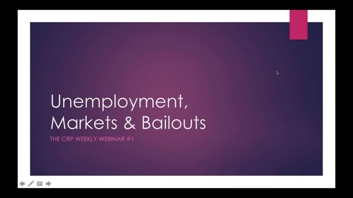 Weekly Webinar #1- Unemployment, Stocks & Bailouts