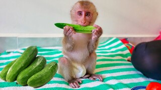 Wow, So Yummy!! Amazing little Yaya loves to eat a raw cucumber so much