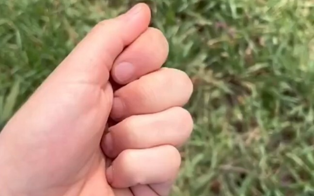 Tips for Whistling Like a Pro!