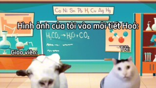hoá