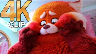 First Giant Red Panda Transformation Scene | TURNING RED (2022) Movie CLIP 4K