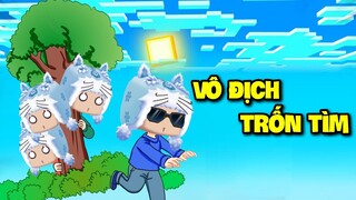 MINI GAME: THỬ THÁCH VÔ ĐỊCH TRỐN TÌM TRONG GARENA BLOCKMAN GO