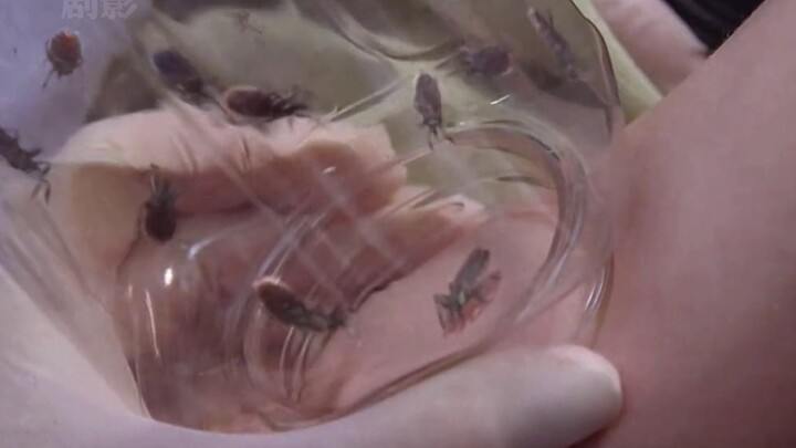 A man was just a little constipated, but his doctor prescribed him a bottle of disgusting worms.