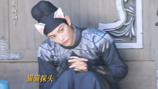 【丁禹兮】20240303 《大理寺少卿游》猫猫花絮