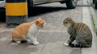 Losers eat dust—another XX season has arrived.