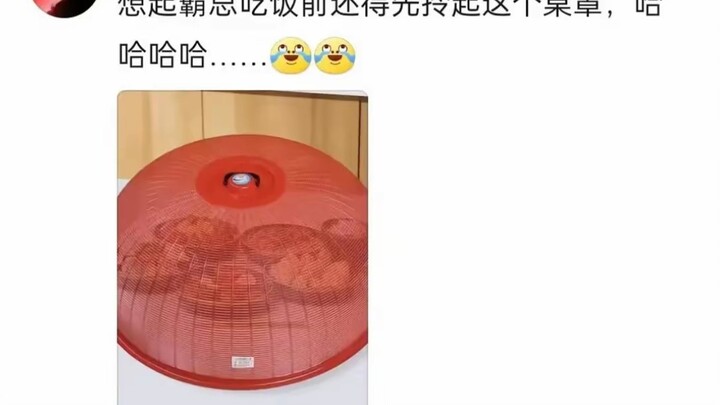 Thảo nào hai Quảng và Hải Nam lại không có thể loại văn sủng nịch tổng tài, phong cách vẽ này quả th