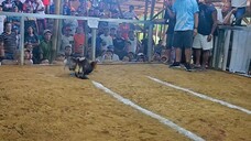 2hits Ulutan, Parihas panalo.